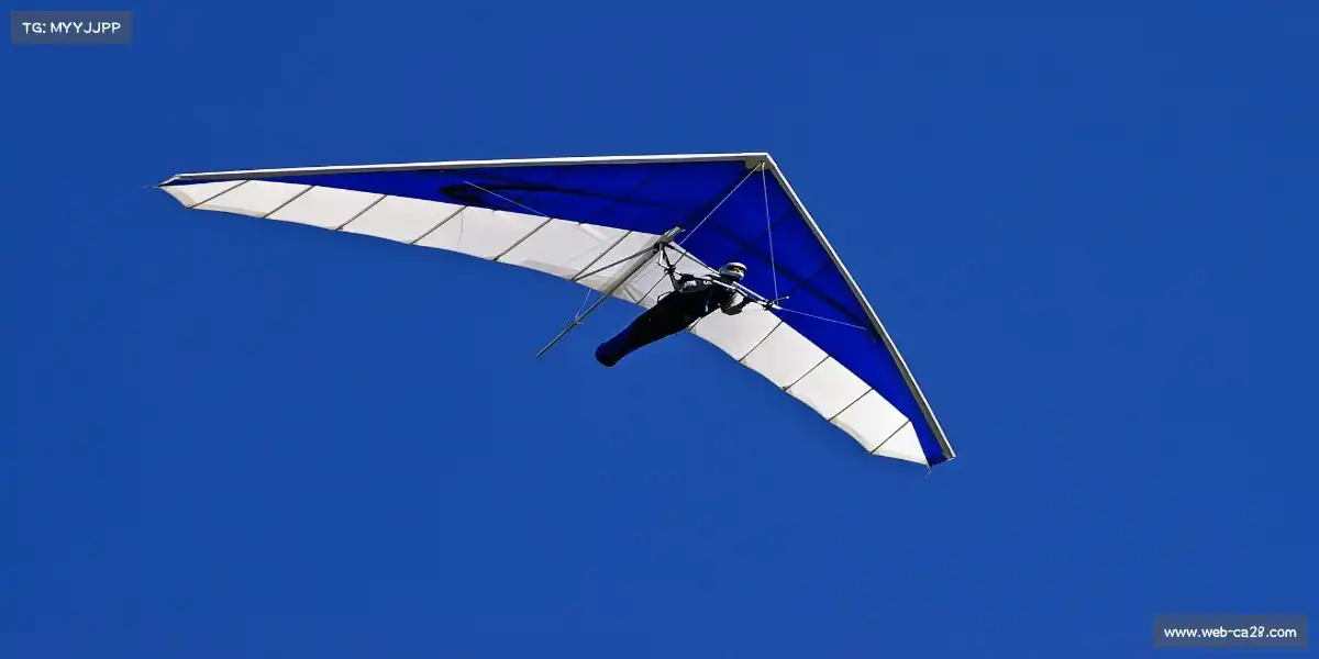 加拿大28官网——🏐沙滩排球，烈日争锋！